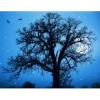 Arôme : Night Tentation
Dernière mise à jour le : 21-12-2016 Arôme : Night Tentation
Dernière mise à jour le : 21-12-2016