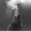 Arôme : Breath Freshener
Dernière mise à jour le : 10-07-2015 Arôme : Breath Freshener
Dernière mise à jour le : 10-07-2015