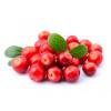 Arôme : Cranberries
Dernière mise à jour le : 21-12-2016 Arôme : Cranberries
Dernière mise à jour le : 21-12-2016