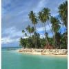 Arôme : Tabac Island
Dernière mise à jour le : 10-07-2015 Arôme : Tabac Island
Dernière mise à jour le : 10-07-2015