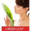 Arme :  Virgin Leaf par T Juice