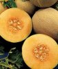 Arôme : Cantaloupe
Dernière mise à jour le : 14-08-2014 Arôme : Cantaloupe
Dernière mise à jour le : 14-08-2014