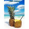 Arme :  Ananas 
Dernire mise  jour le :  20-04-2014 