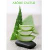 Arme :  cactus par VapMisty