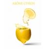 Arme :  Citron 
Dernire mise  jour le :  02-04-2014 