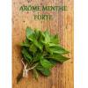 Arôme : Menthe Forte
Dernière mise à jour le : 12-09-2014 Arôme : Menthe Forte
Dernière mise à jour le : 12-09-2014