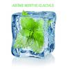 Arme :  Menthe Glaciale 
Dernire mise  jour le :  02-04-2014 