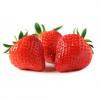 Arme :  Fraise ( Vaposite ) 