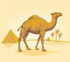 Arôme : Camel
Dernière mise à jour le : 18-08-2016 Arôme : Camel
Dernière mise à jour le : 18-08-2016