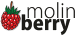 Molin Berry ( PL ) Molin Berry ( PL )