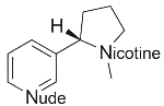 Nude Nicotine ( USA )