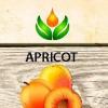 Arôme :  Apricot par ArtVap