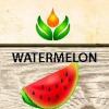 Arôme :  Watermelon par ARTVAP