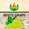 Arôme :  White Grape par ArtVap