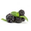Arôme :  Blackberry par Azure Vaping