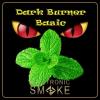 Arôme :  Pfefferminze par Dark Burner