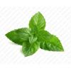 Arôme :  Menthe Verte par Excellence Flavor