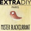 Arôme :  Mister Blackcurrant par EXTRAPURE
