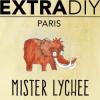 Arôme :  Mister Lychee par EXTRAPURE