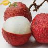 Arôme :  Lychee par Flavor Jungle