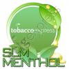 Arôme :  Slm Menthol par Flavors Express