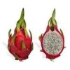 Arôme :  Shacks Expert Dragon Fruit par Flavor Shack