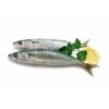 Arme :  Anchovy par FlavourArt