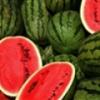 Arôme :  Watermelon par Flavour Fog