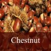 Arôme :  Chestnut par FLY ME TO MARS