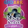 Arôme :  Ribes Nero par Gioark