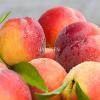 Arôme :  Juicy Peach par Hangsen