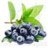 Arôme :  Blueberry Menthol par Heartlandvapes