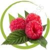 Arôme :  Raspberry par NORTHWEST VG FLAVORS