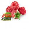 Arôme :  Himbeere par PRO STEAMER FLAVOURS
