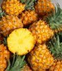 Arôme :  SC Pineapple par VAPINGZONE